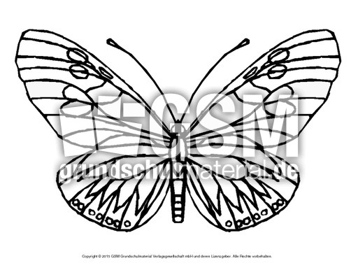 Ausmalbild-Schmetterling 5.pdf